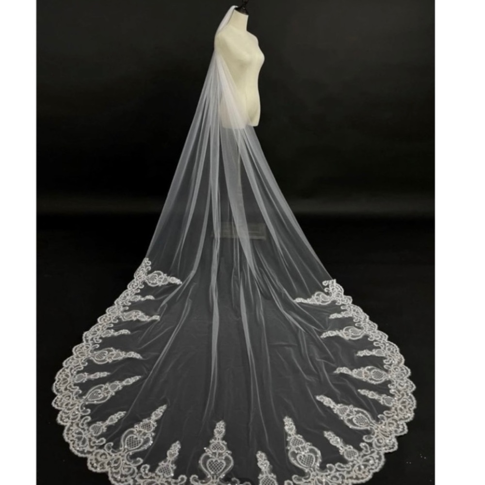 Stunning cathedral bridal veil